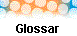  Glossar 